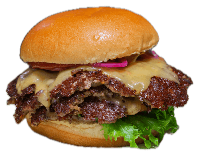 Some example image with burgers